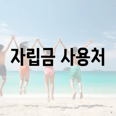 자립금 사용처