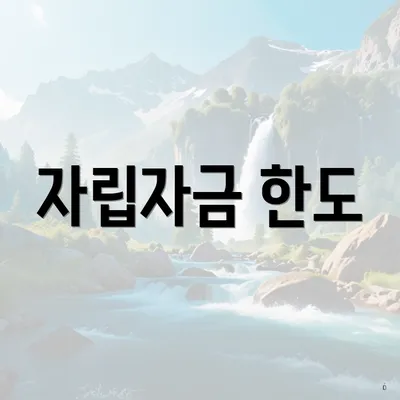 자립자금 한도
