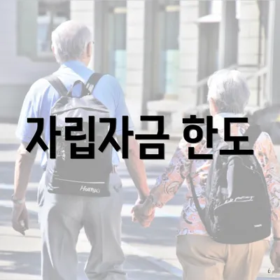 자립자금 한도