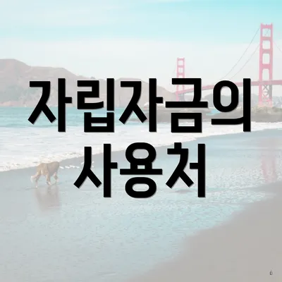 자립자금의 사용처
