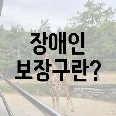 장애인 보장구란?