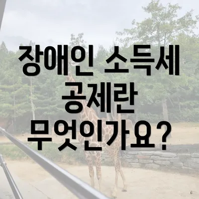 장애인 소득세 공제란 무엇인가요?