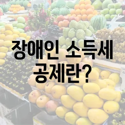 장애인 소득세 공제란?