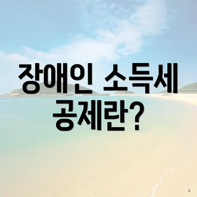 장애인 소득세 공제란?