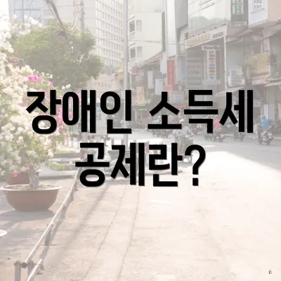 장애인 소득세 공제란?
