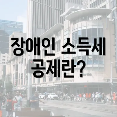 장애인 소득세 공제란?