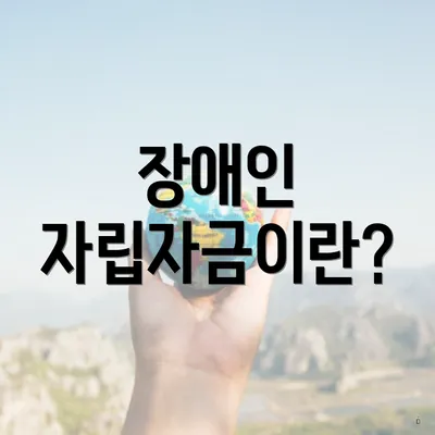 장애인 자립자금이란?