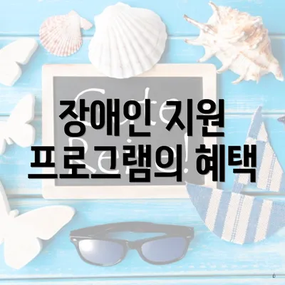 장애인 지원 프로그램의 혜택
