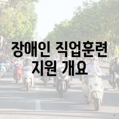 장애인 직업훈련 지원 개요