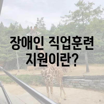 장애인 직업훈련 지원이란?