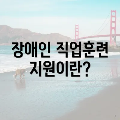 장애인 직업훈련 지원이란?