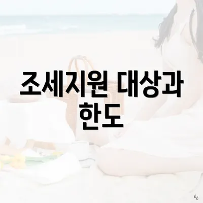 조세지원 대상과 한도