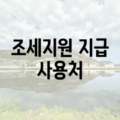 조세지원 지급 사용처