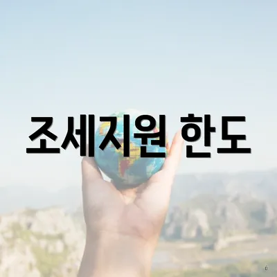 조세지원 한도
