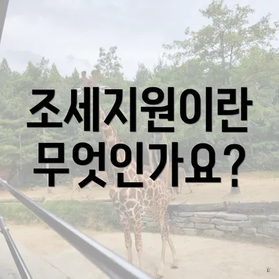 조세지원이란 무엇인가요?