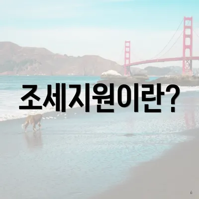 조세지원이란?