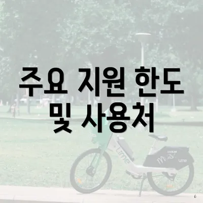 주요 지원 한도 및 사용처