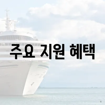 주요 지원 혜택