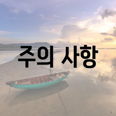 주의 사항