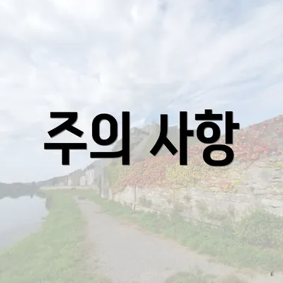 주의 사항