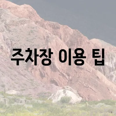 주차장 이용 팁