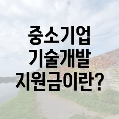 중소기업 기술개발 지원금이란?