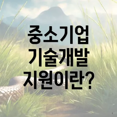 중소기업 기술개발 지원이란?