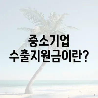 중소기업 수출지원금이란?