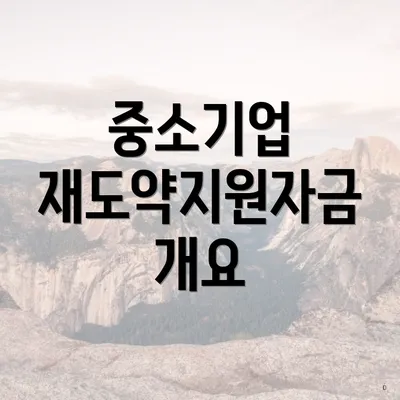 중소기업 재도약지원자금 개요