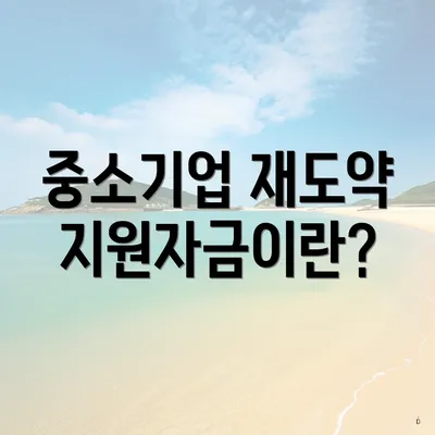 중소기업 재도약지원자금이란?