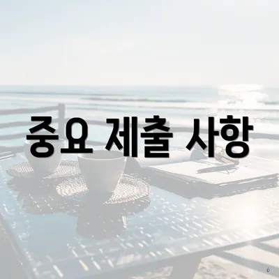 중요 제출 사항