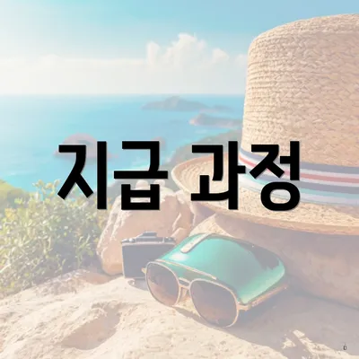지급 과정