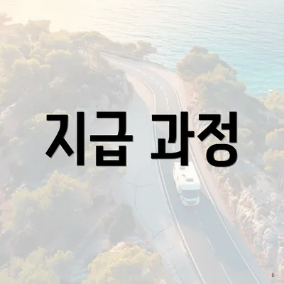 지급 과정