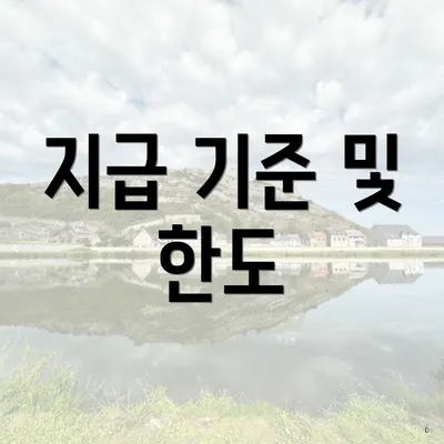지급 기준 및 한도