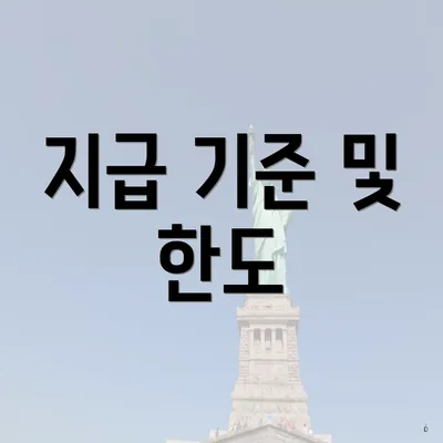 지급 기준 및 한도