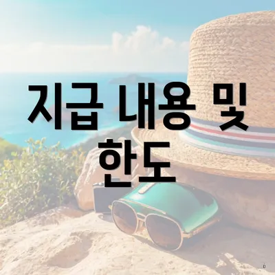 지급 내용 및 한도
