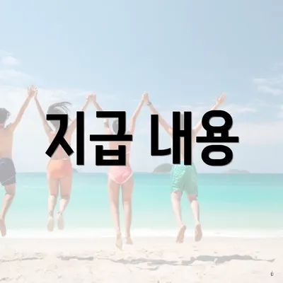 지급 내용