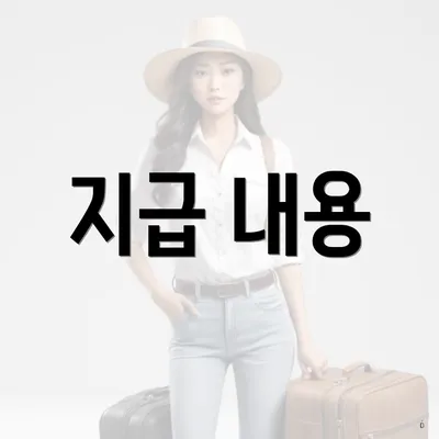 지급 내용