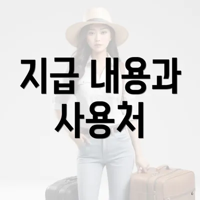 지급 내용과 사용처