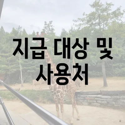 지급 대상 및 사용처