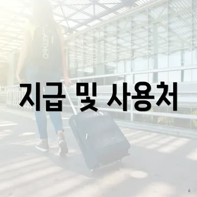지급 및 사용처