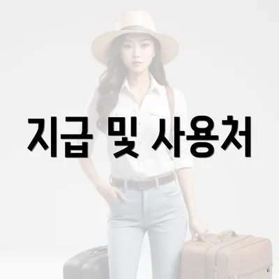 지급 및 사용처