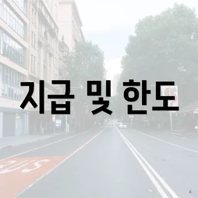 지급 및 한도