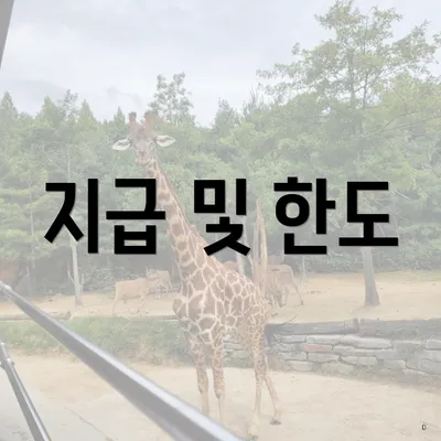 지급 및 한도
