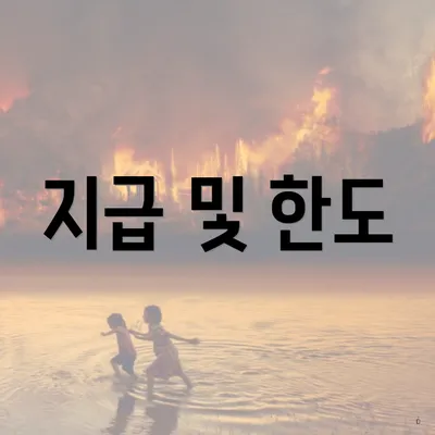 지급 및 한도