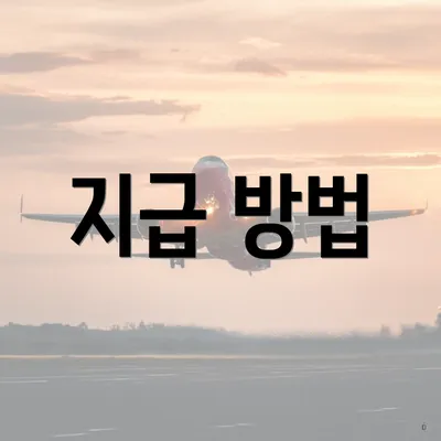 지급 방법