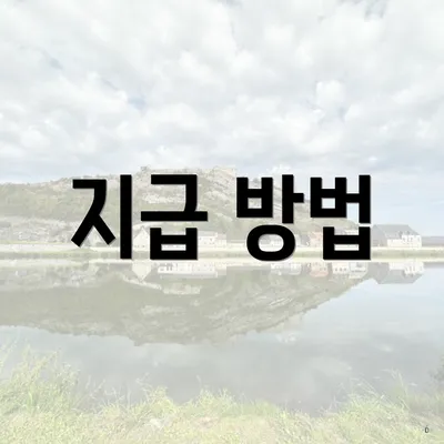 지급 방법