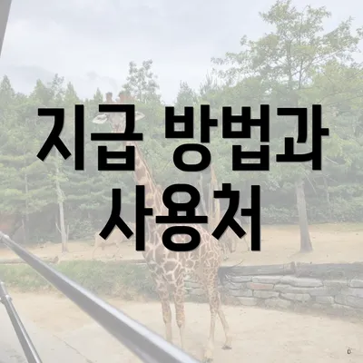지급 방법과 사용처