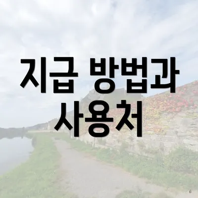 지급 방법과 사용처
