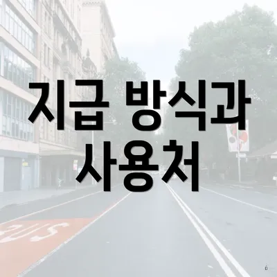 지급 방식과 사용처